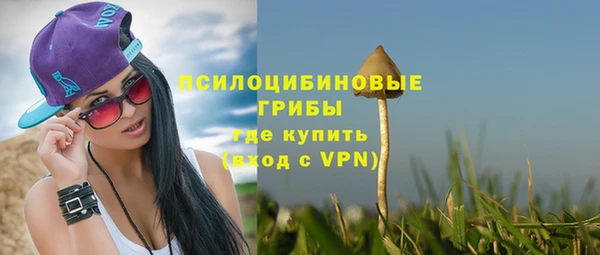 spice Армянск