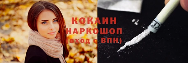твердый Арсеньев