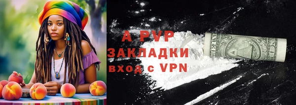 твердый Арсеньев