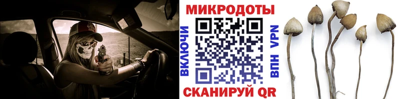 Галлюциногенные грибы ЛСД  купить  сайты  Копейск 