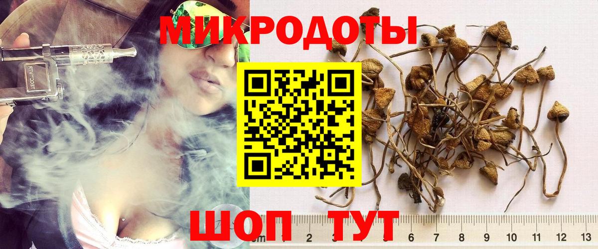 Галлюциногенные грибы GOLDEN TEACHER  Псилоцибиновые грибы GOLDEN TEACHER  Копейск  Вход с VPN 